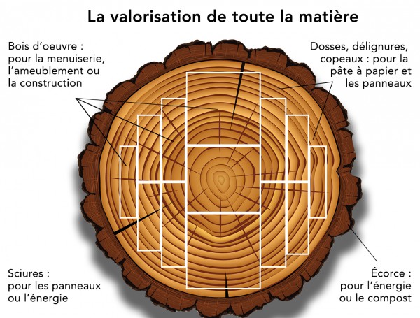 Granulé de bois / Pellet : définition et certification - Propellet